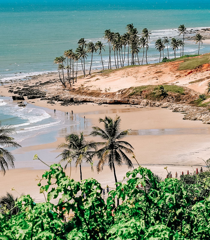 o que fazer em Fortaleza Ceará