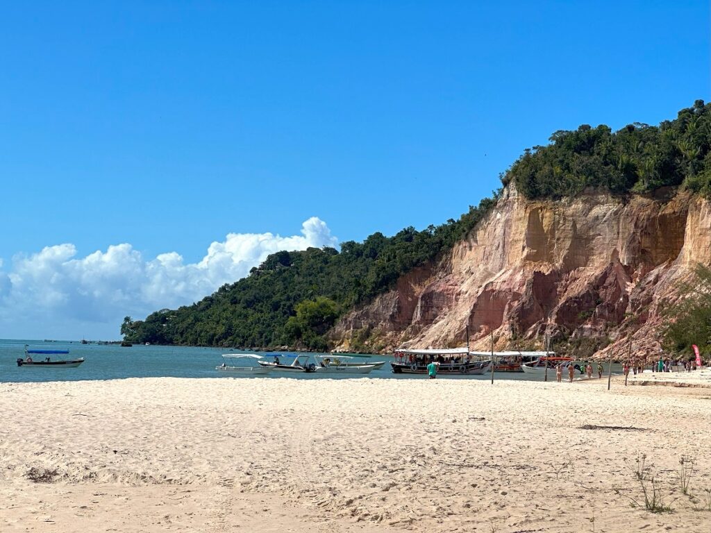 Gastronomia em Gamboa: Onde comer frutos do mar frescos e baratos