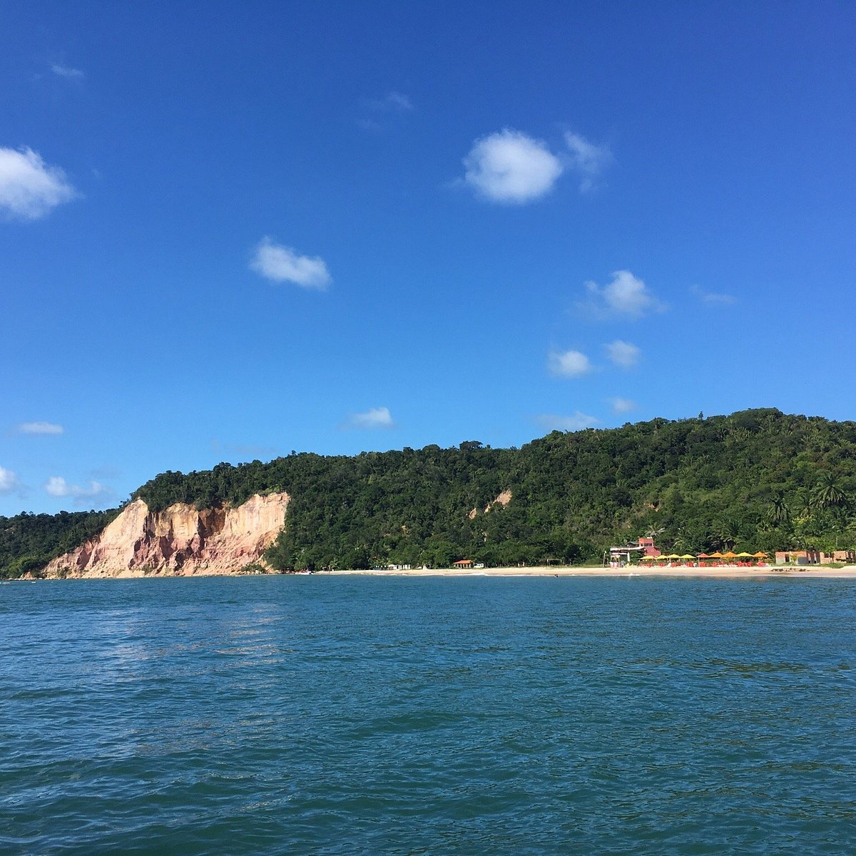 Gastronomia em Gamboa: Onde comer frutos do mar frescos e baratos
