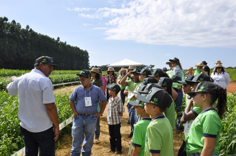 Ipameri Histórica: Descobrindo o Passado da Terra do Algodão