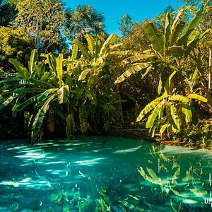 Dicas Essenciais para Planejar Sua Viagem a Mateiros