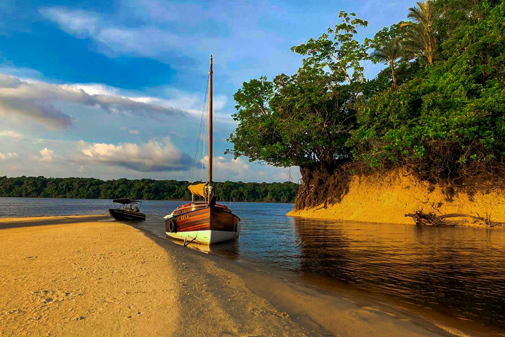 o que fazer em Novo Airão