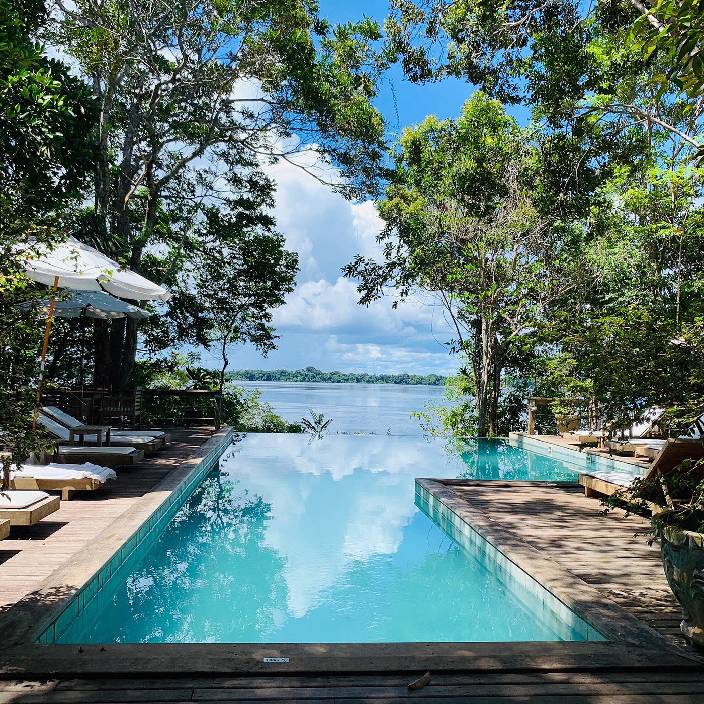 Parque Nacional de Anavilhanas: O Que Você Precisa Saber Antes de Visitar