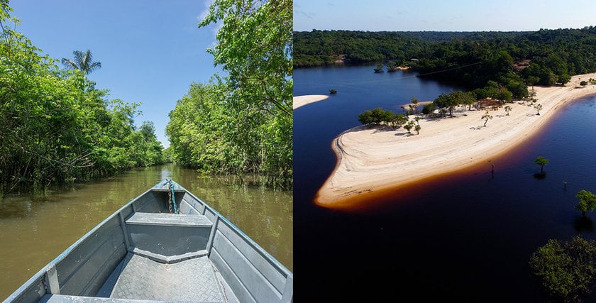 Interação com Botos em Novo Airão: Uma Experiência Inesquecível e Acessível