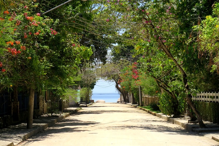 História e Curiosidades da Ilha de Paquetá: Além dos Pontos Turísticos