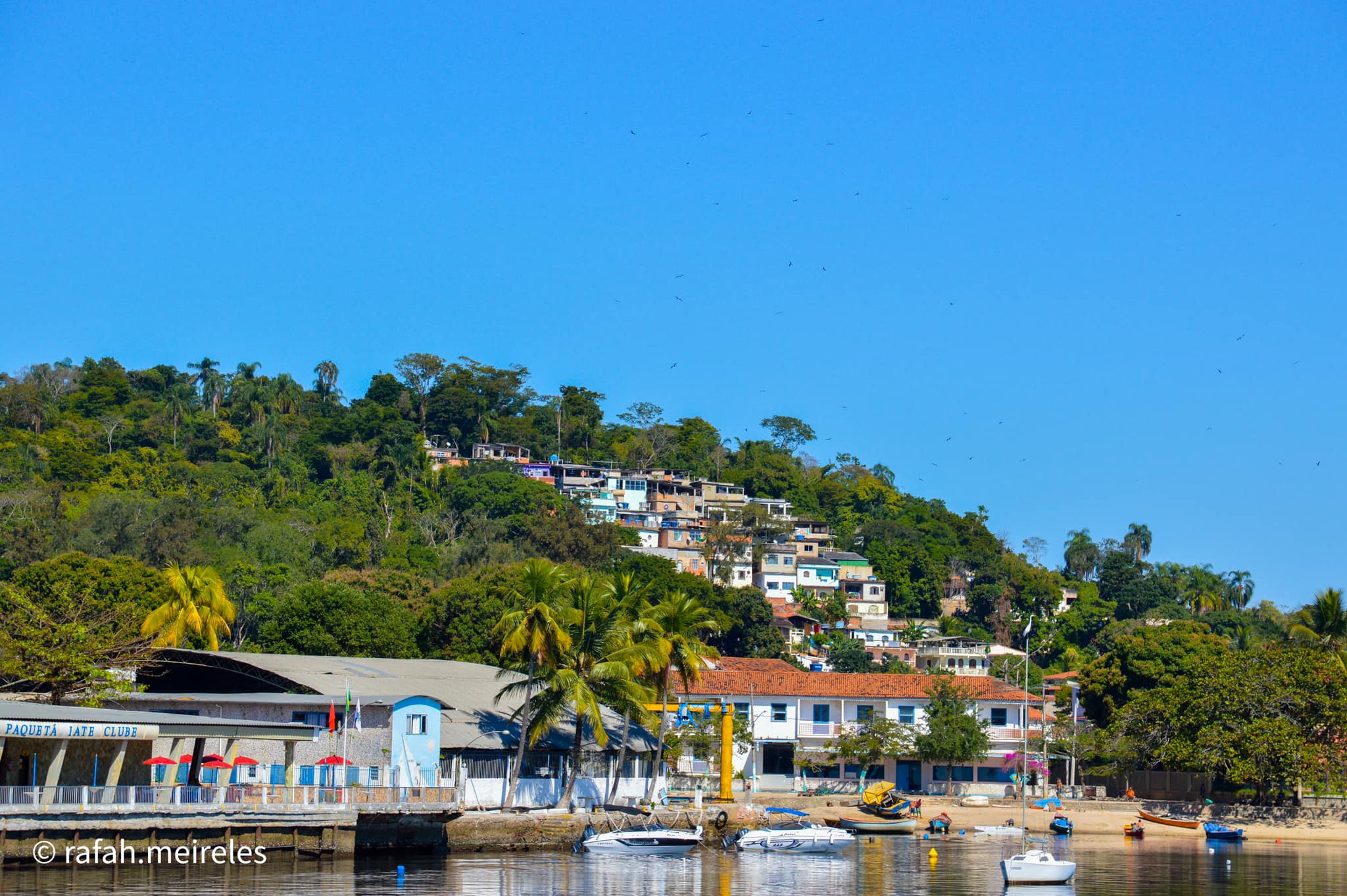Guia Completo: Como Chegar à Ilha de Paquetá de Barca e Outras Dicas