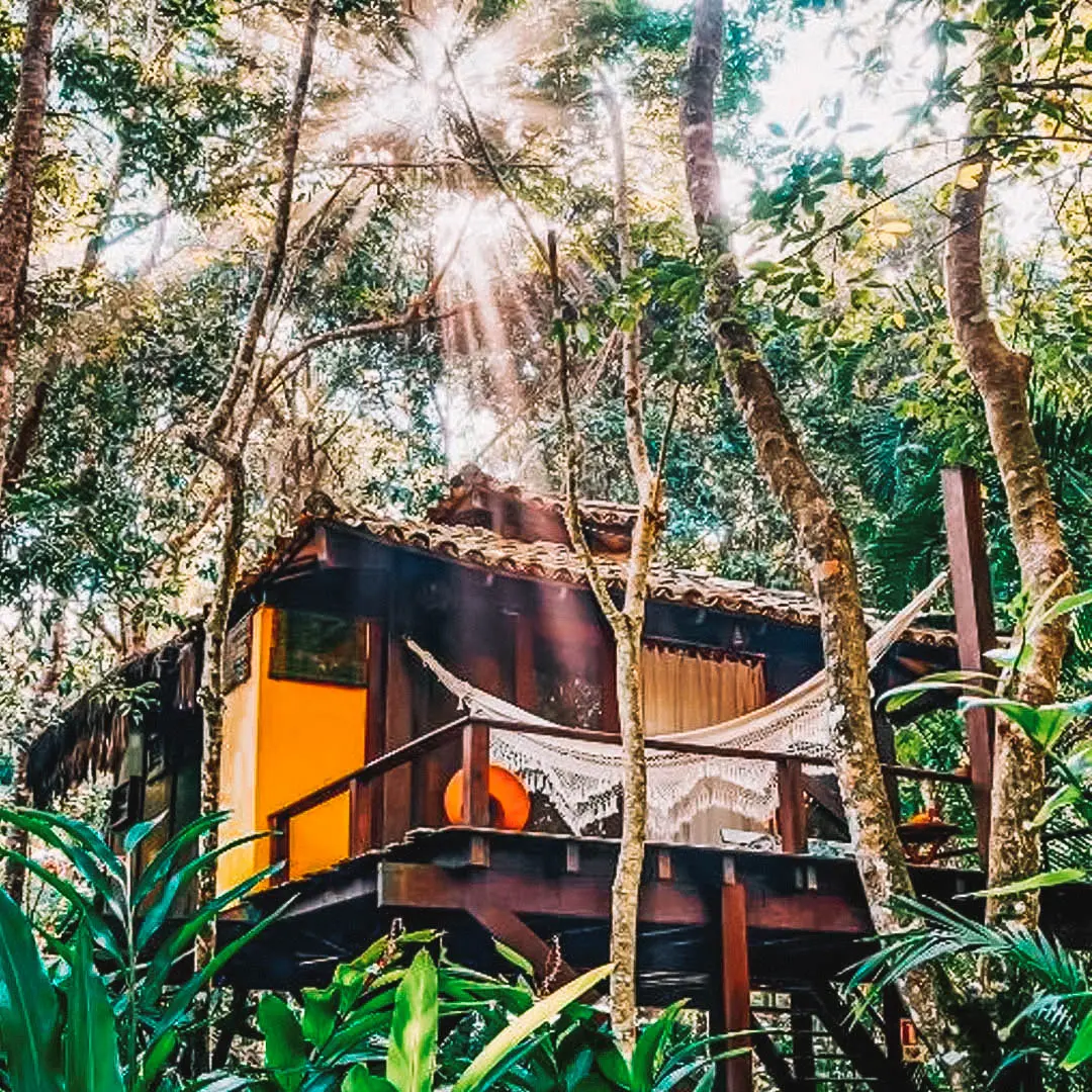 Eventos e Vida Noturna