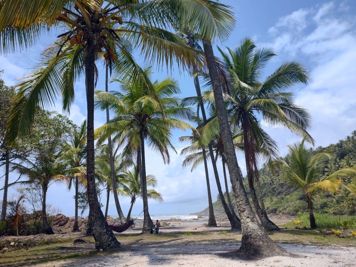 Aventuras em Serra Grande: Trilhas