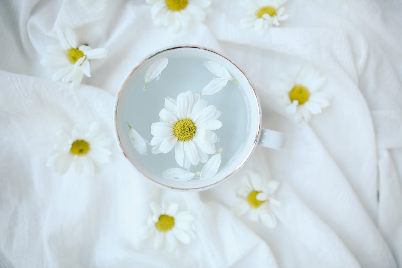 O ritual do Cha de Camomila crie um momento de paz no seu dia