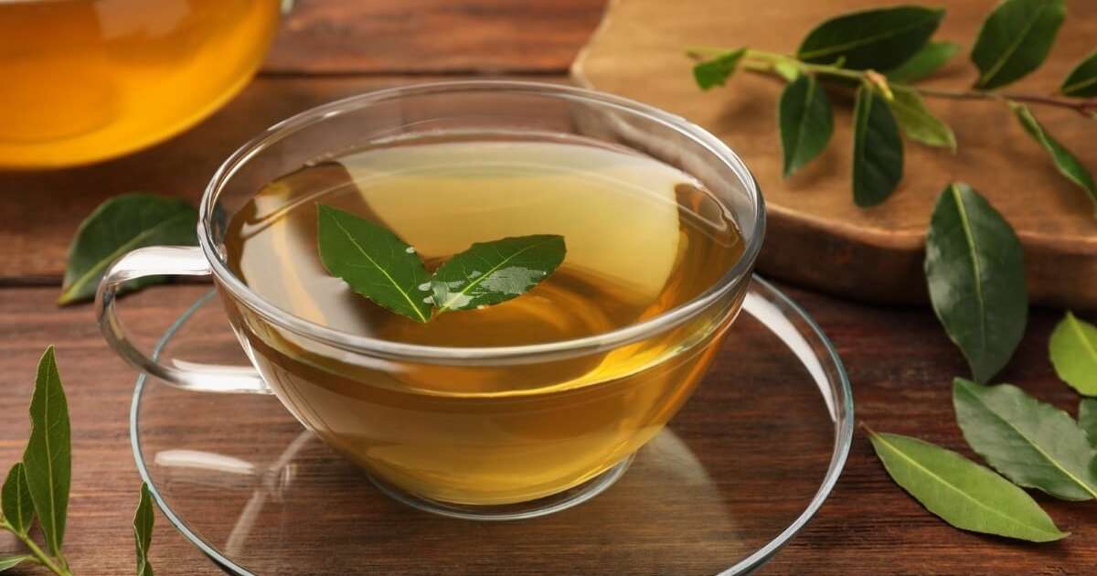 Como Preparar o Chá de Louro Perfeito: Dicas e Truques