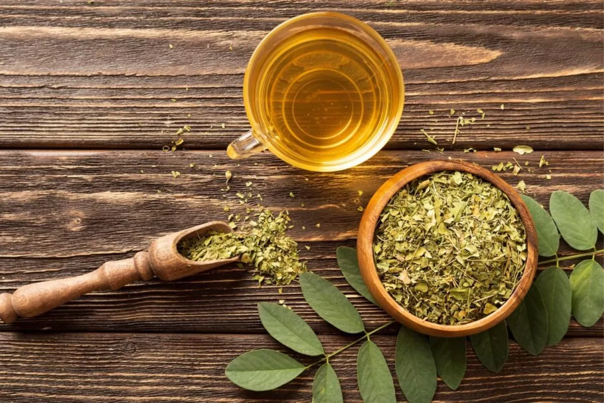 Chá de Louro: Mitos e Verdades sobre o Sabor