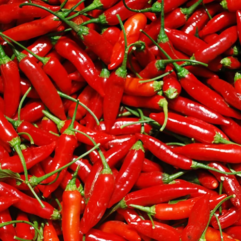 Guia Completo: Como Escolher a Melhor Pimenta Malagueta para Suas Receitas