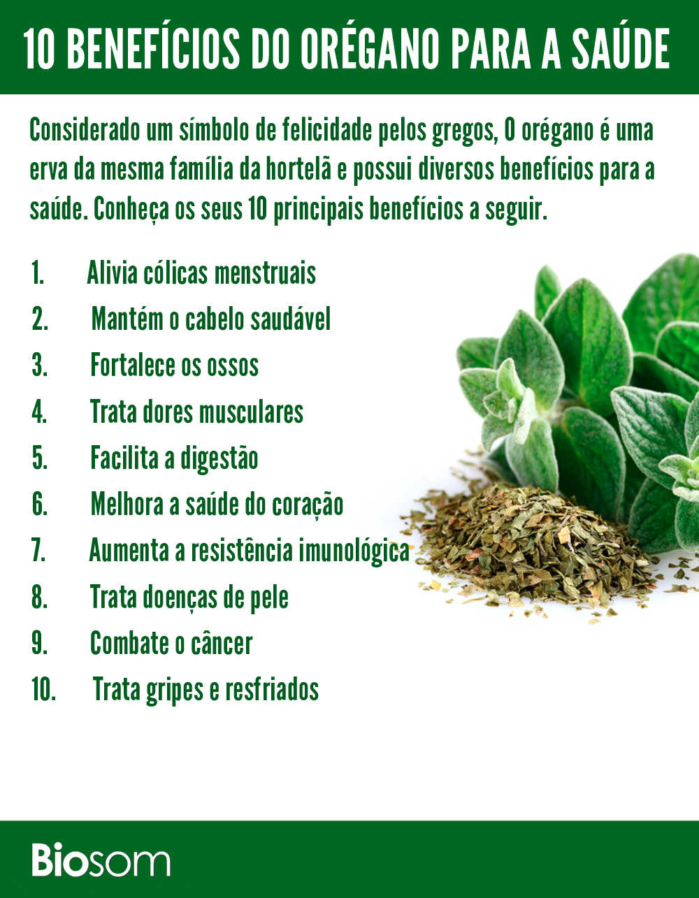 orégano benefícios para o cabelo