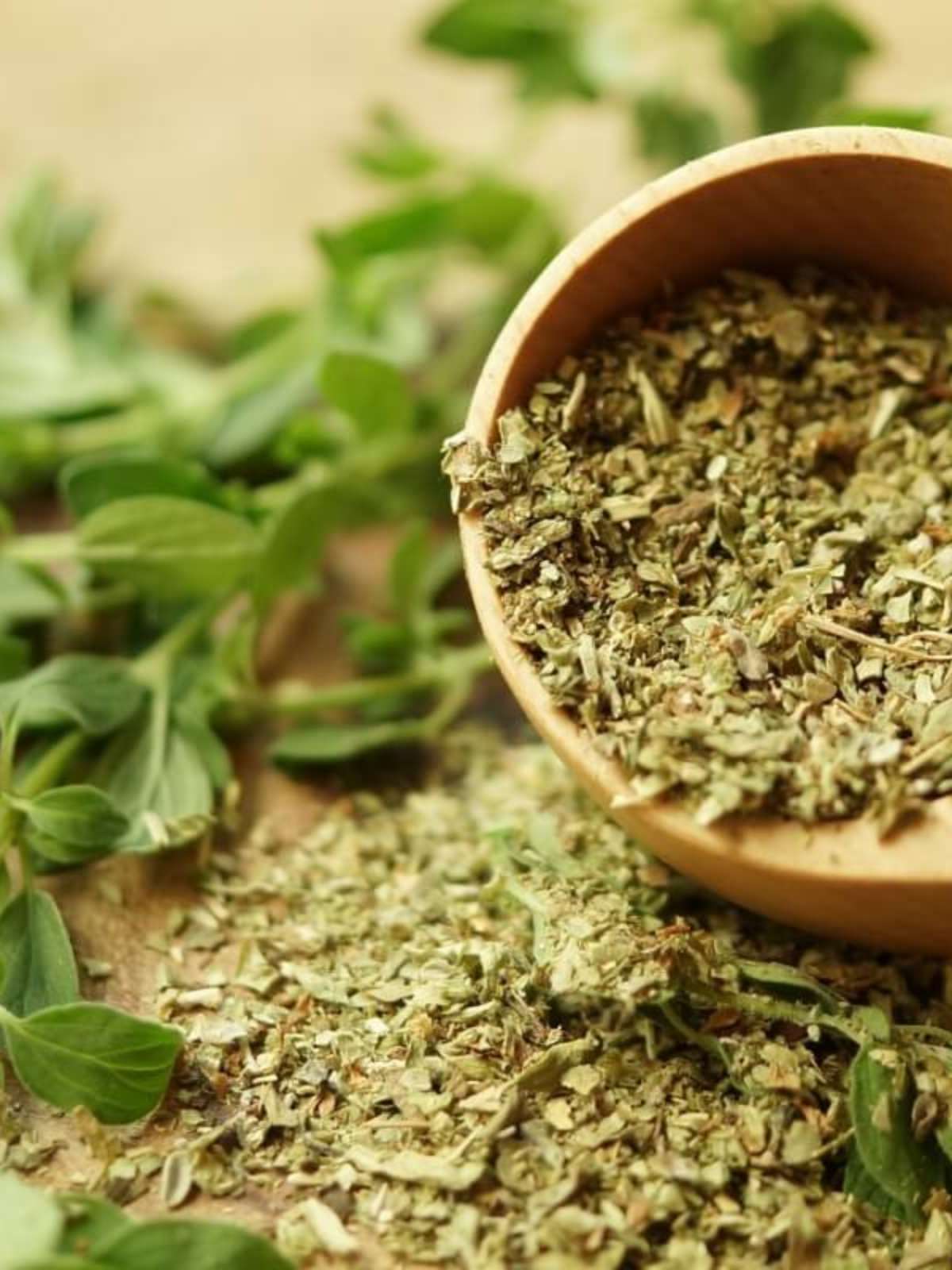 Orégano para Crescimento Capilar: Ciência por Trás da Estimulação Sanguínea