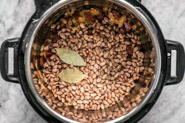 Louro Seco vs. Louro Fresco: Qual a Melhor Escolha para Seus Pratos?