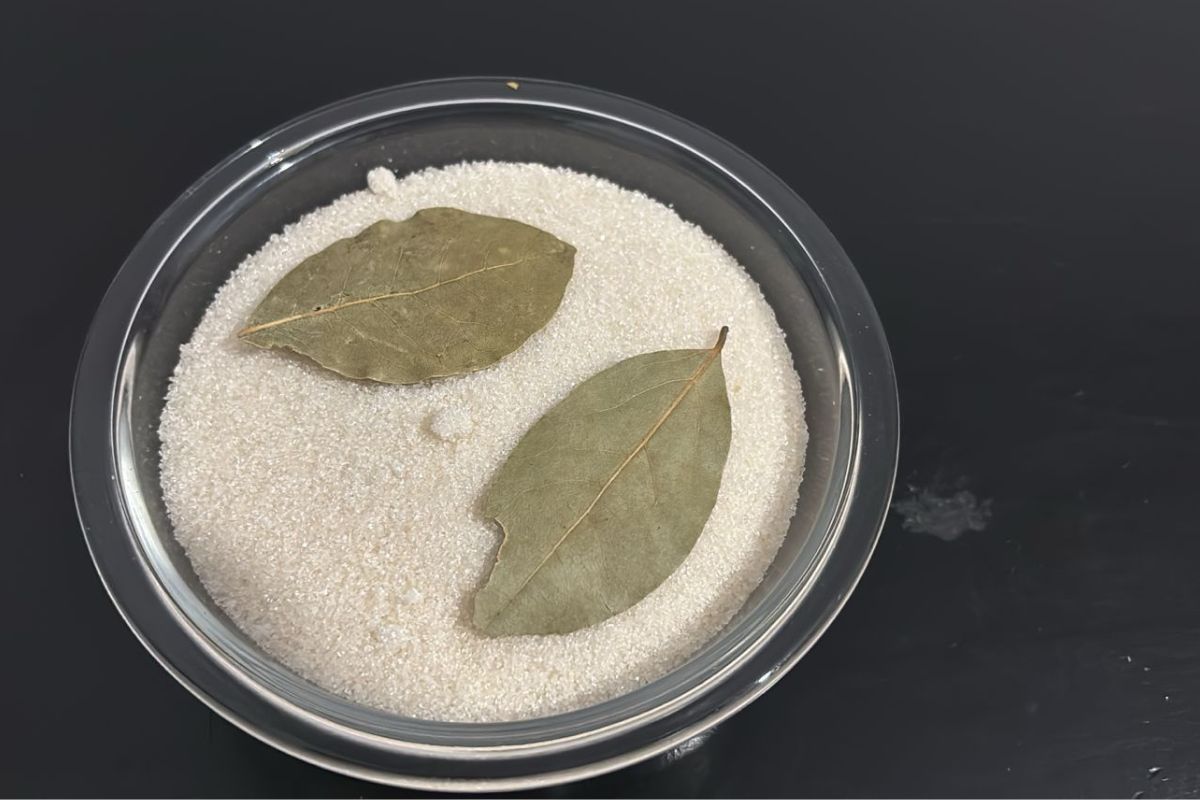 Chá de Louro: Benefícios e Como Preparar para uma Digestão Saudável