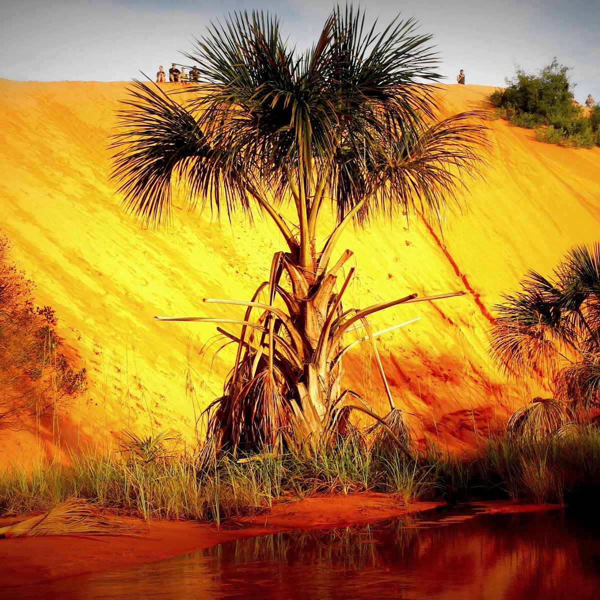 como chegar nas dunas do jalapão para o pôr do sol