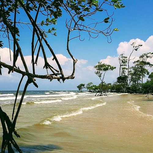 praias da Ilha de Marajó