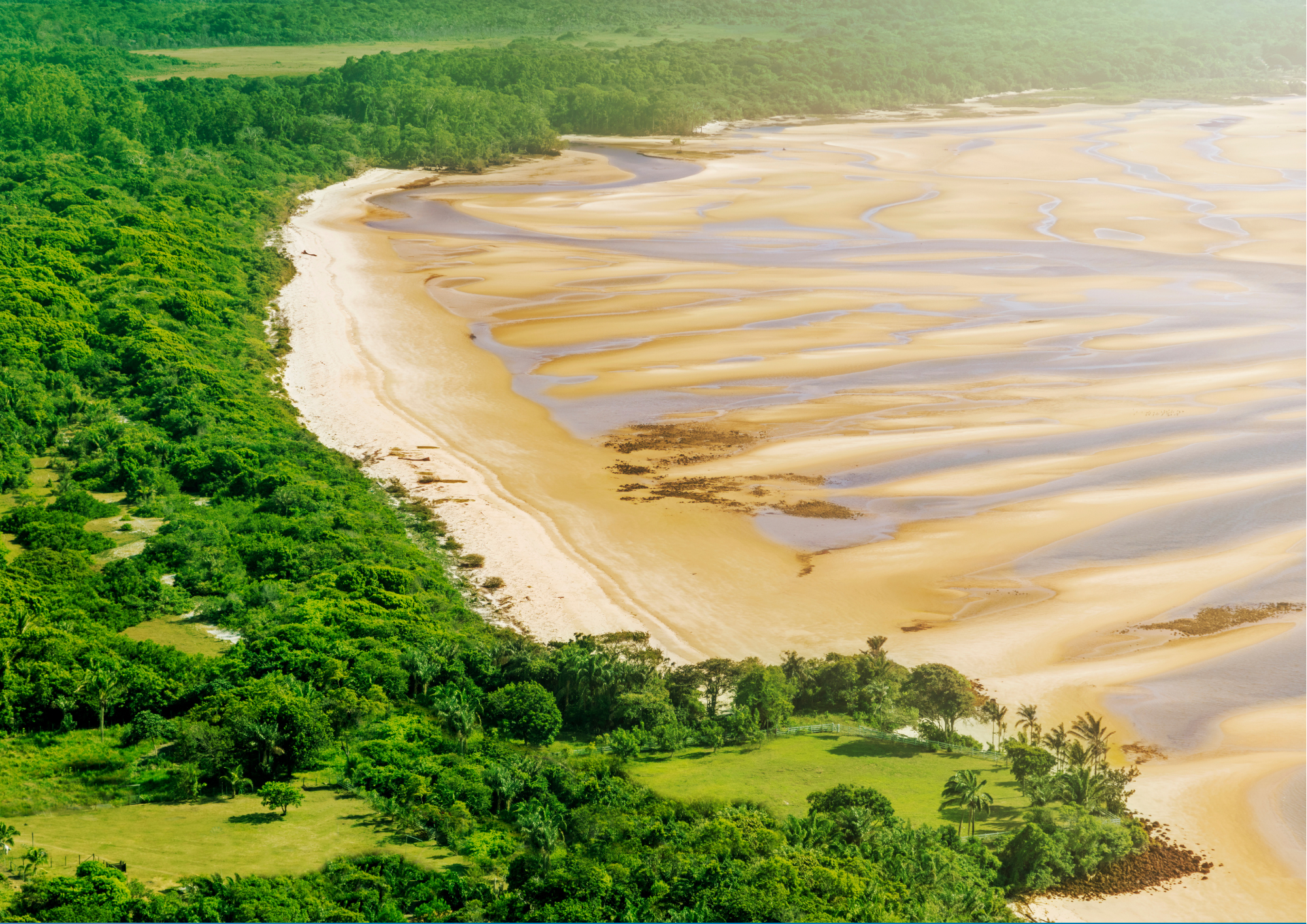 Guia Completo: Como Chegar na Ilha de Marajó (Balsas e Lanchas)