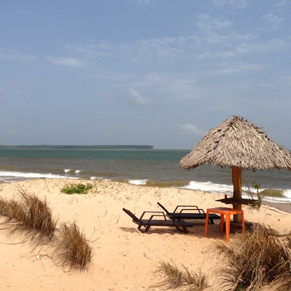 Gastronomia Marajoara: Onde Comer Filé de Búfalo e Queijo do Marajó