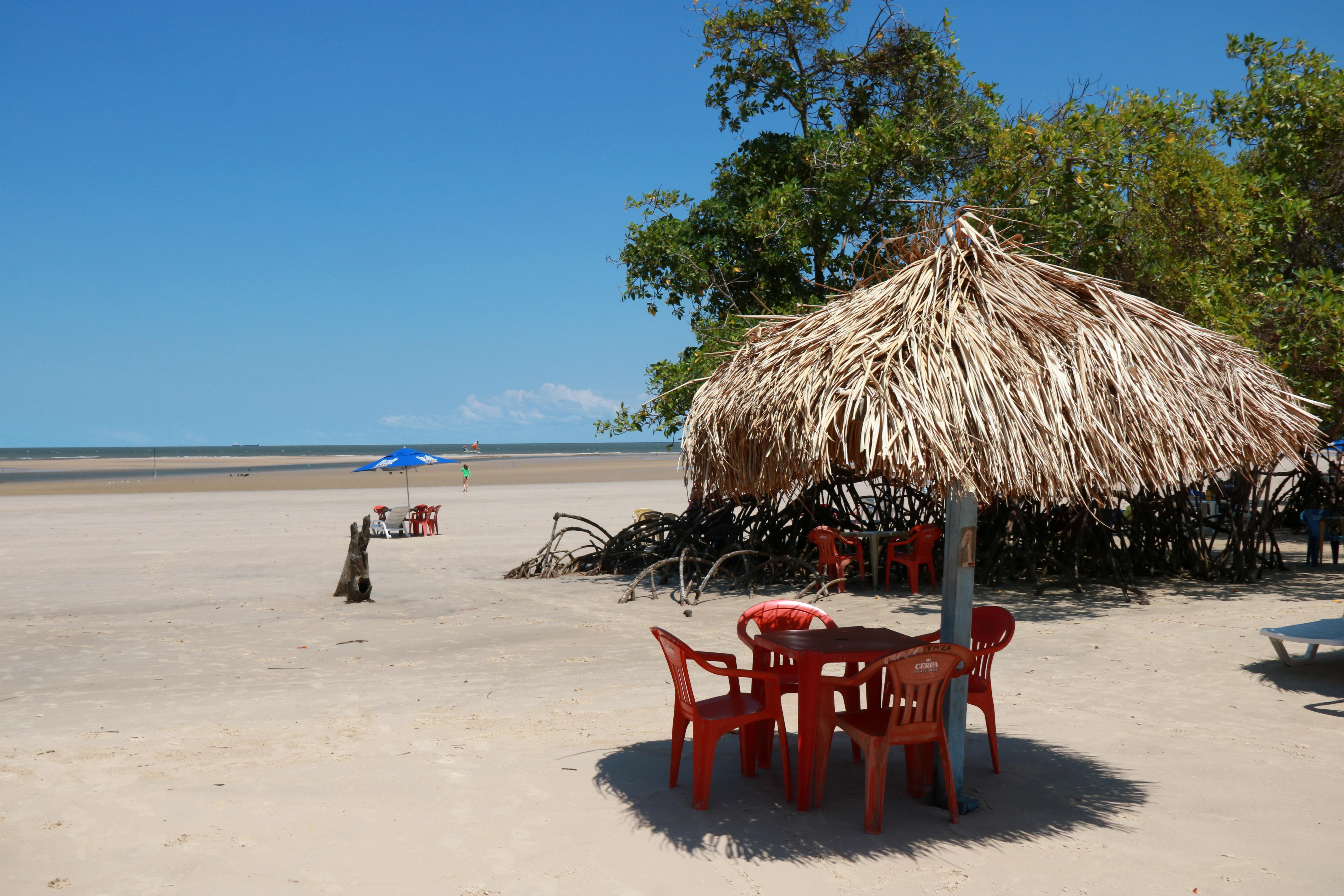 Gastronomia Marajoara: Onde Comer Filé de Búfalo e Queijo do Marajó