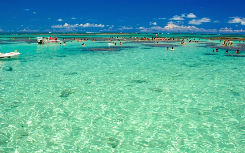 Explorando a Rota Ecológica de Alagoas: São Miguel dos Milagres e Patacho