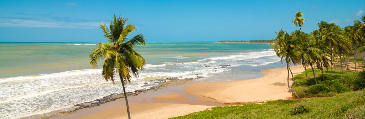 Melhores Passeios de Jangada em Maragogi e Pajuçara: Dicas Essenciais