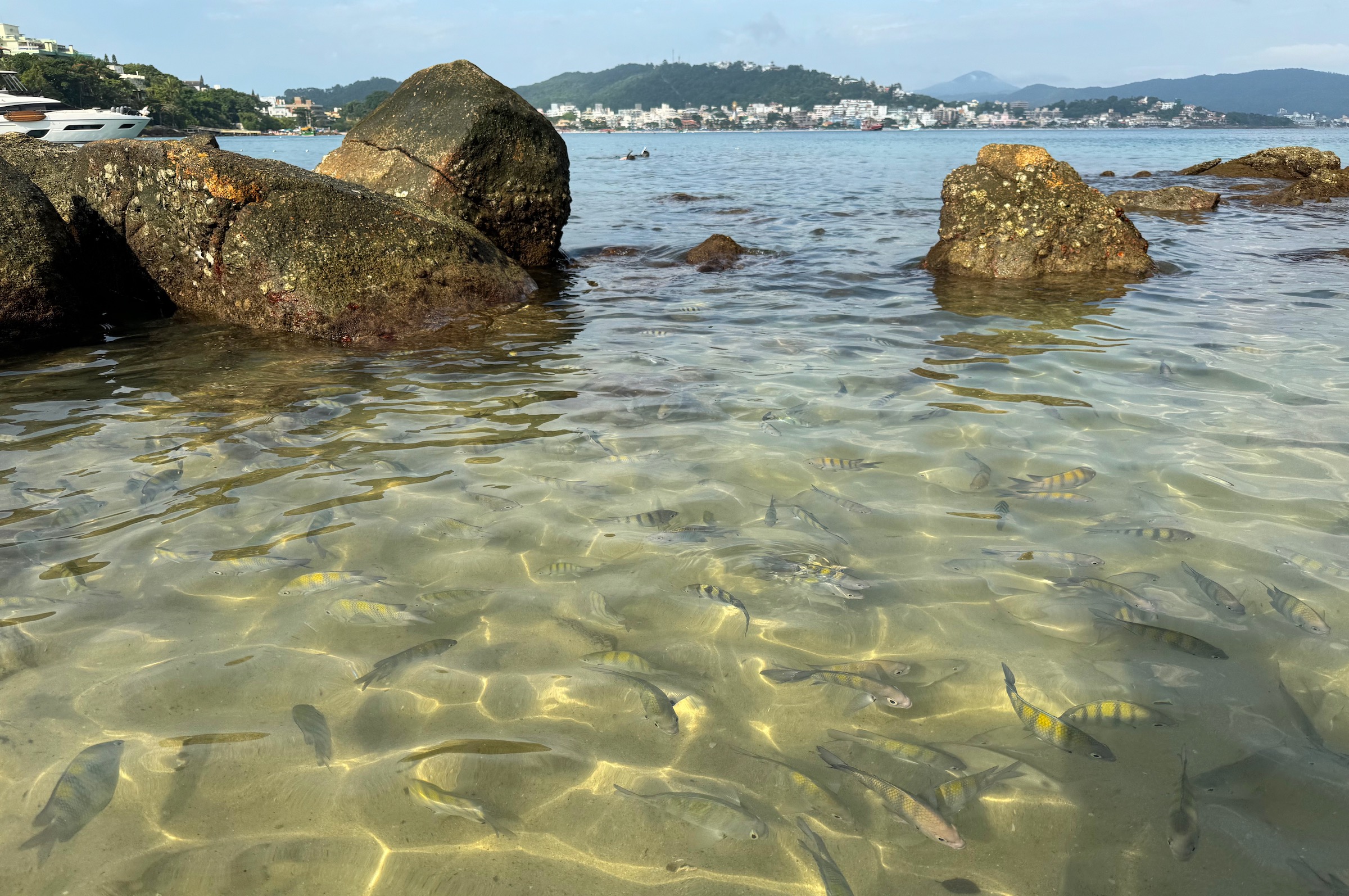 TPA Bombinhas: Tudo o que Você Precisa Saber Antes de Viajar