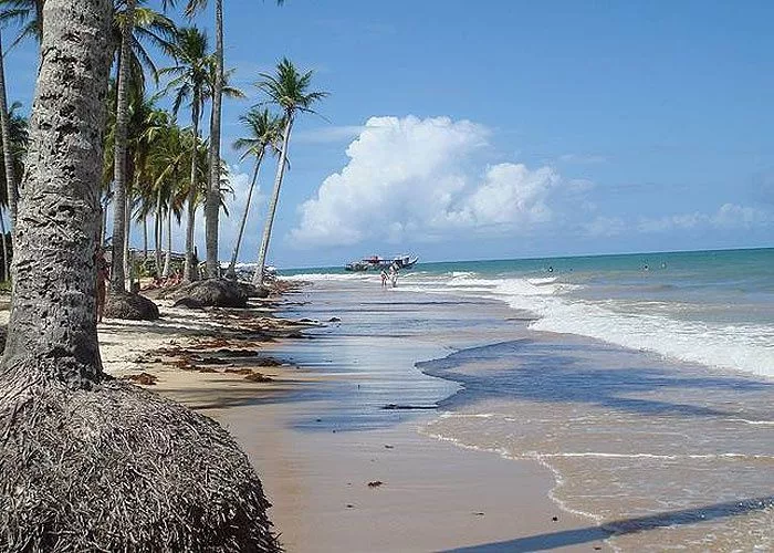 Praia do Espelho: Dicas essenciais para visitar o paraíso baiano