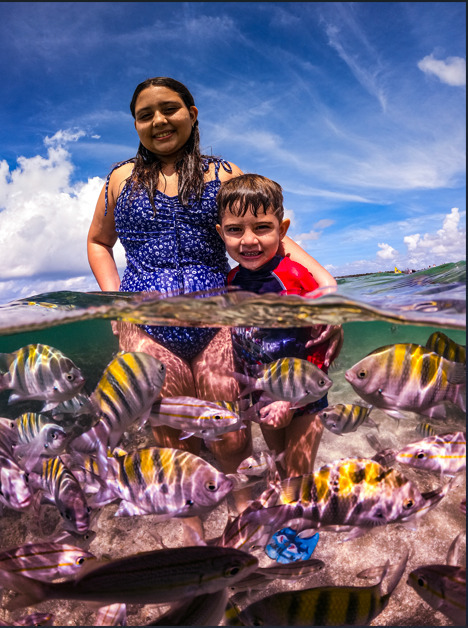 Guia Completo: Hospedagem Familiar em Ubatuba Perto das Melhores Praias