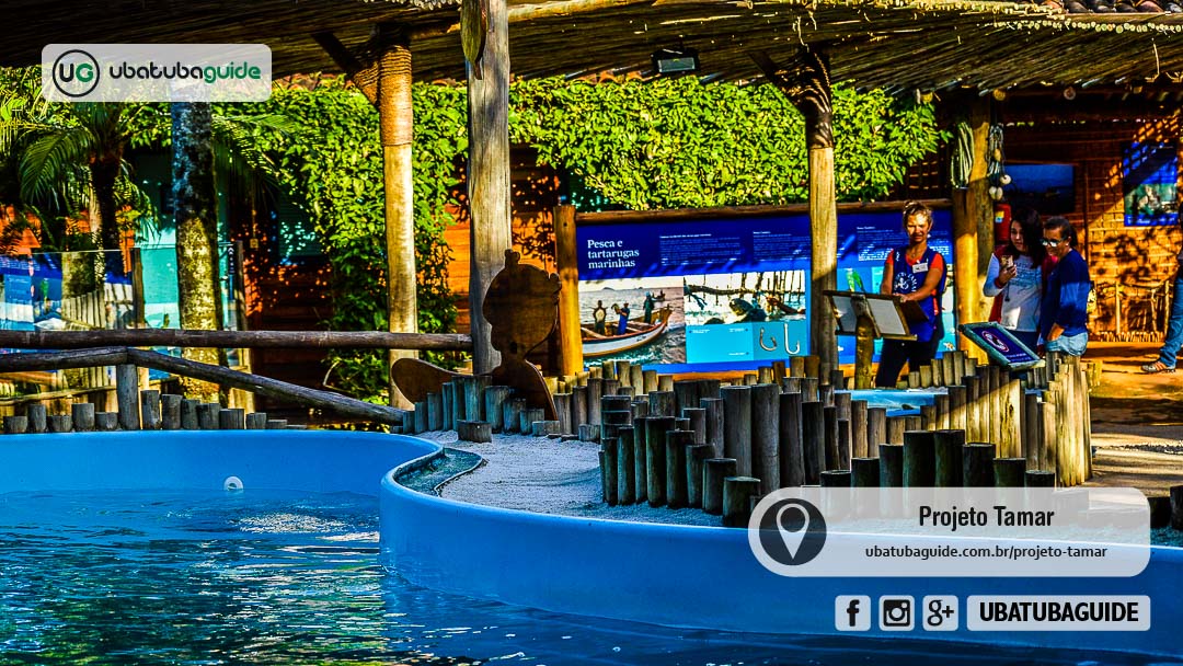 Roteiro de 3 Dias em Ubatuba com Crianças: Praias e Passeios Educativos