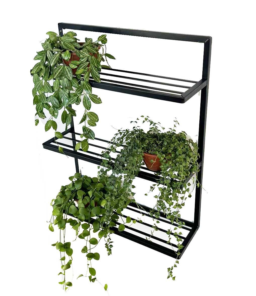 erros comuns ao escolher prateleira para plantas na varanda