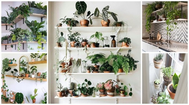 prateleira de madeira vs prateleira de ferro para varanda