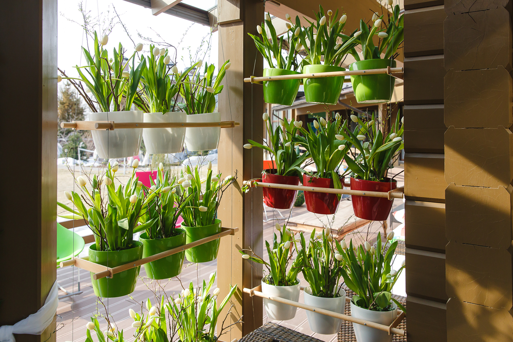 quanto custa uma prateleira para plantas de varanda