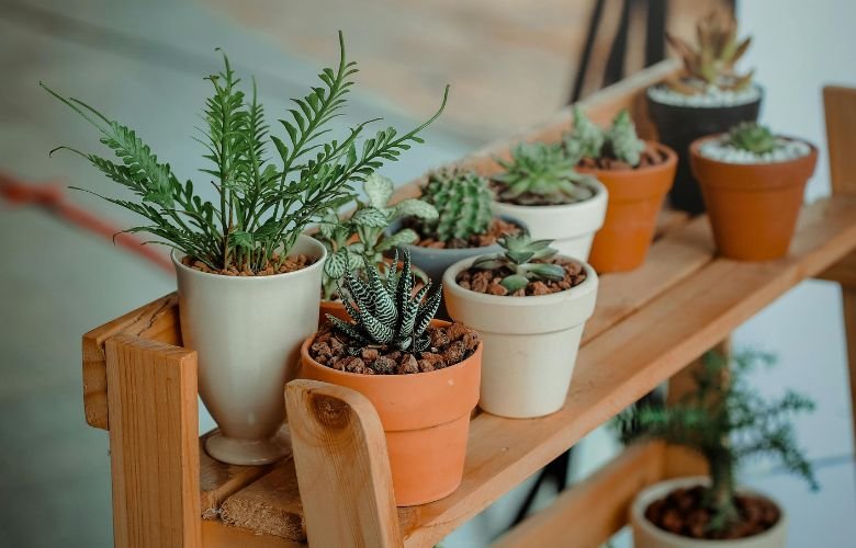 quanto custa uma prateleira para plantas de varanda