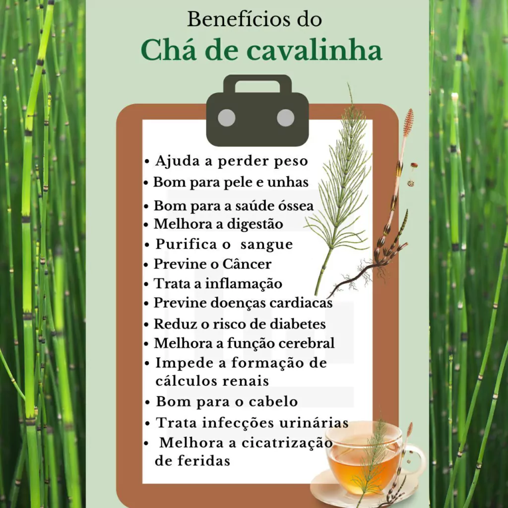 quem pode tomar chá de cavalinha