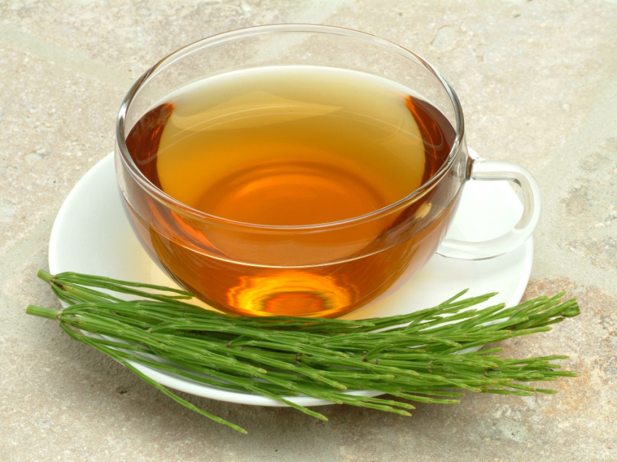 quem pode tomar chá de cavalinha