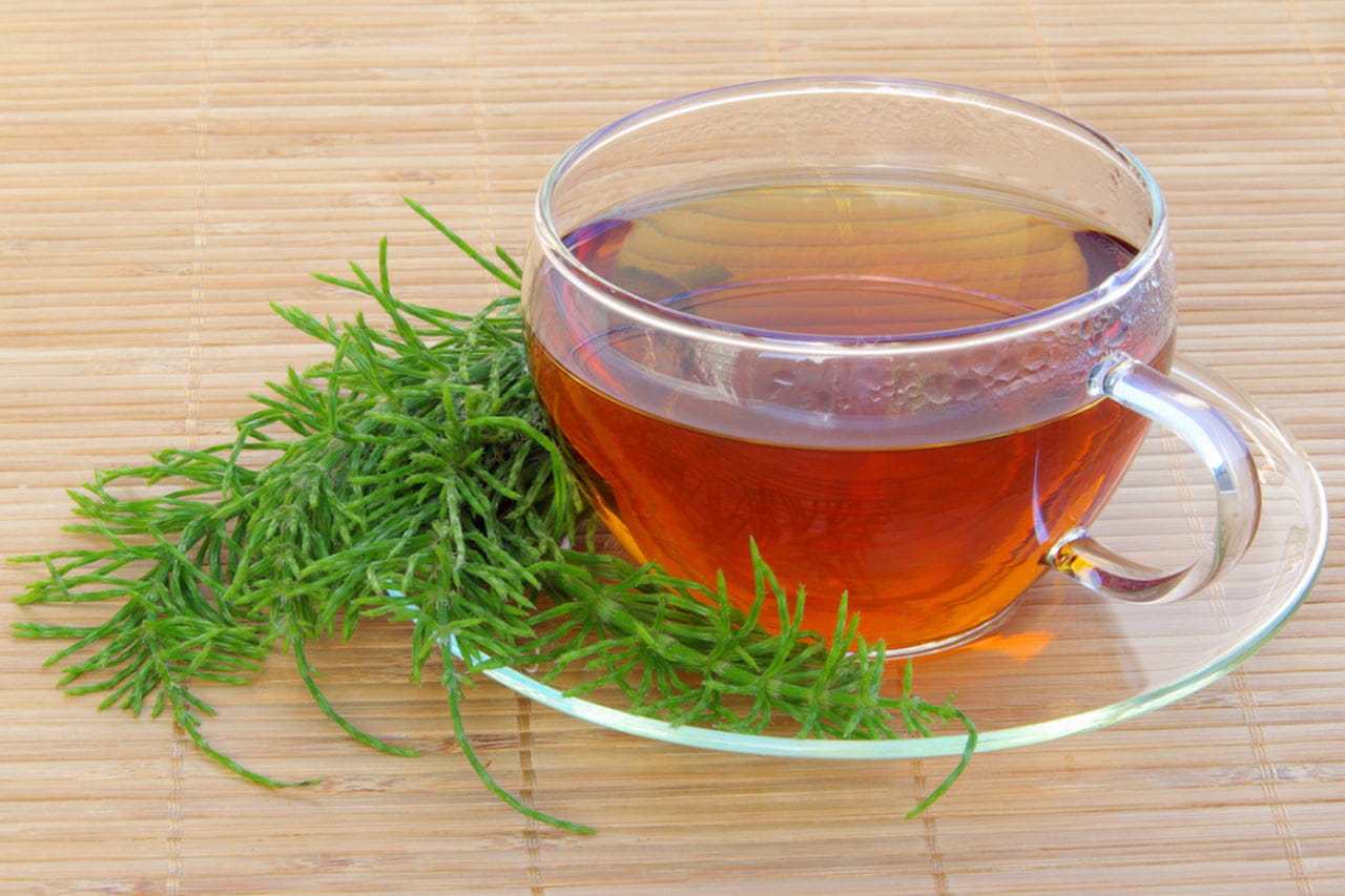 Infecção Urinária: Remédios Caseiros e Prevenção com Chás