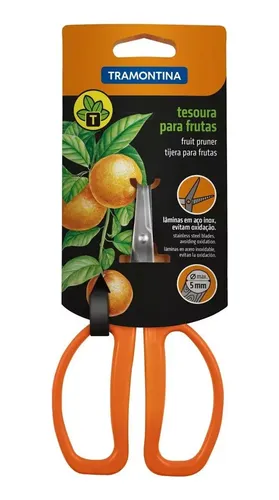 raleio de frutos laranja