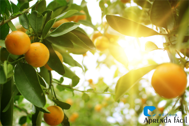 Diferenças entre Raleio Manual e Químico em Frutíferas