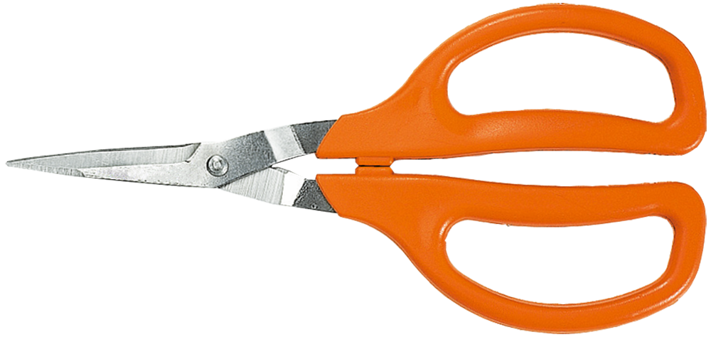 Manejo Integrado de Pomares de Laranja para Alta Produtividade