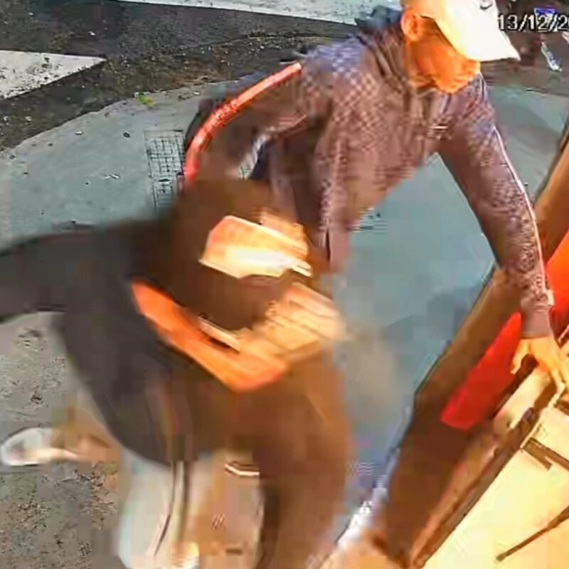 O Calendário da Poda: Qual a Melhor Época para Podar Suas Laranjeiras e Outros Citros