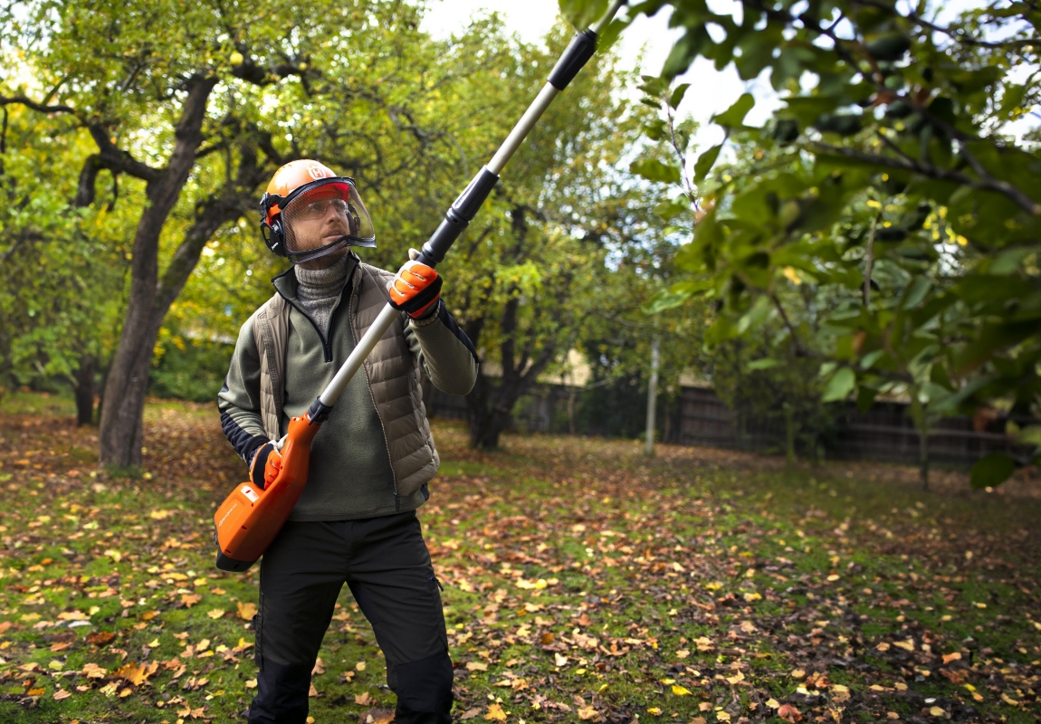 Calda Bordalesa: O Segredo para Proteger Suas Plantas Após a Poda