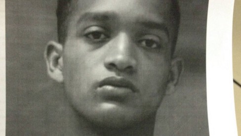 O Calendário da Poda: Qual a Melhor Época para Podar Suas Laranjeiras e Outros Citros