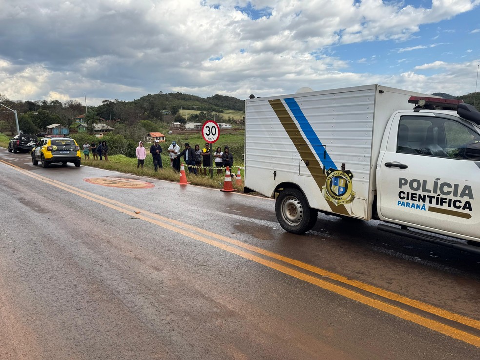 Guia Completo de Adubação para Laranjeiras Saudáveis