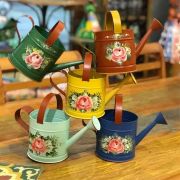 Regadores de Cerâmica: Charme e Delicadeza para Suas Plantas Internas