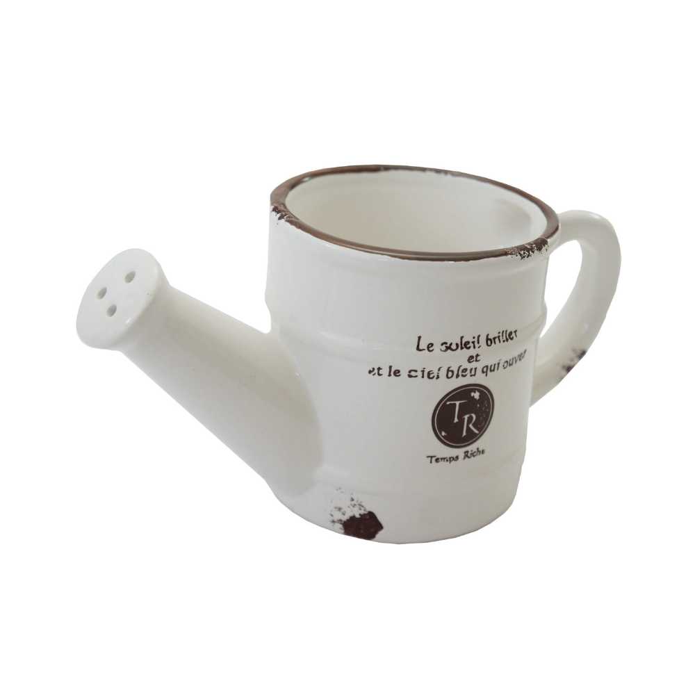 Guia Completo: Onde Comprar Regadores Decorativos Baratos e de Qualidade