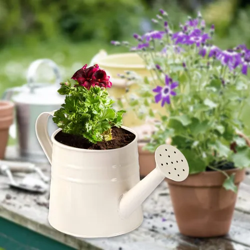 Transforme Seu Jardim com Regadores Vintage de Metal