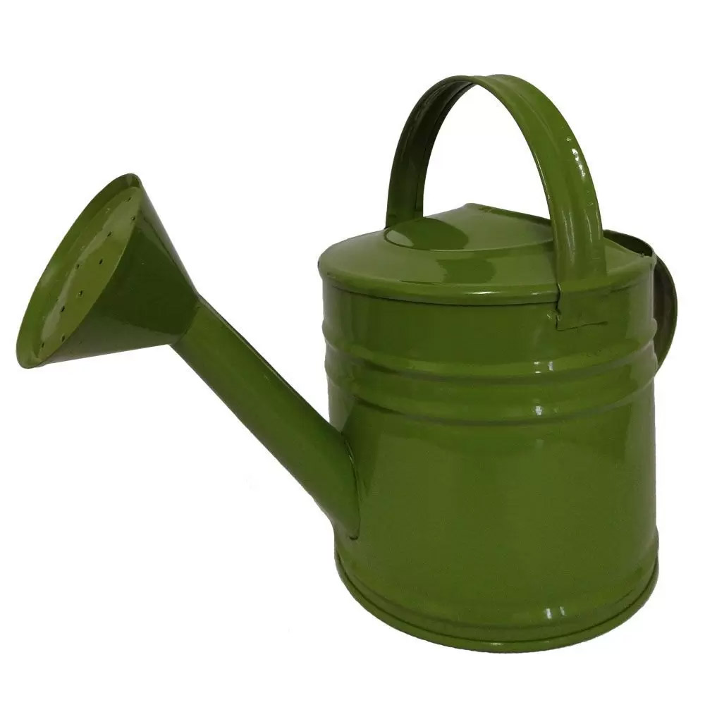 Regadores de Cerâmica: Charme e Delicadeza para Suas Plantas Internas