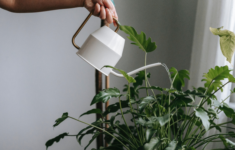 regador decorativo para jardim